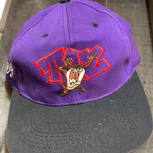 Vintage 1994.  Taz Looney Tunes Ball Cap.